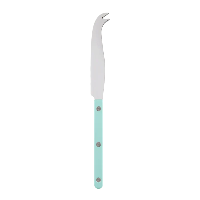 Bistro Shiny Solid, Pastel Green, Large Cheese Knife