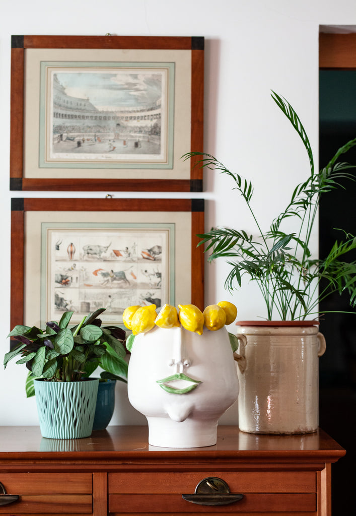 Domitilla Lemon Picker Head Vase